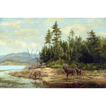 РЕПРОДУКЦИИ НА КАРТИНИ Гледка към Лонг Лейк (1882)